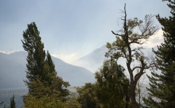 Tras un sábado complejo, se suman recursos y sigue el combate del fuego en Los Alerces