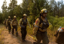 Más brigadistas se suman al operativo para combatir los incendios en el Parque Nacional “Los Alerces”*