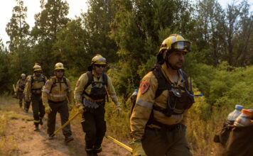 Más brigadistas se suman al operativo para combatir los incendios en el Parque Nacional “Los Alerces”*