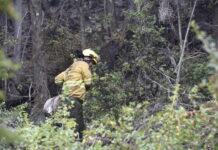Parque Los Alerces: Brigadistas refuerzan líneas de defensa ante condiciones climáticas adversas