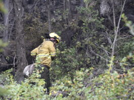 Parque Los Alerces: Brigadistas refuerzan líneas de defensa ante condiciones climáticas adversas