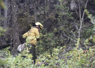 Parque Los Alerces: Brigadistas refuerzan líneas de defensa ante condiciones climáticas adversas