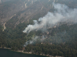 Panorama complejo para las próximas 48 horas: nuevos focos ígneos en la región y reorganización de recursos