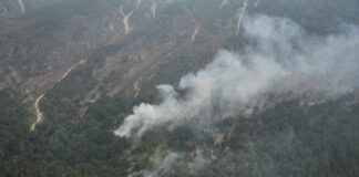 Panorama complejo para las próximas 48 horas: nuevos focos ígneos en la región y reorganización de recursos