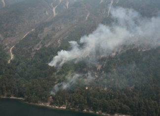 Panorama complejo para las próximas 48 horas: nuevos focos ígneos en la región y reorganización de recursos