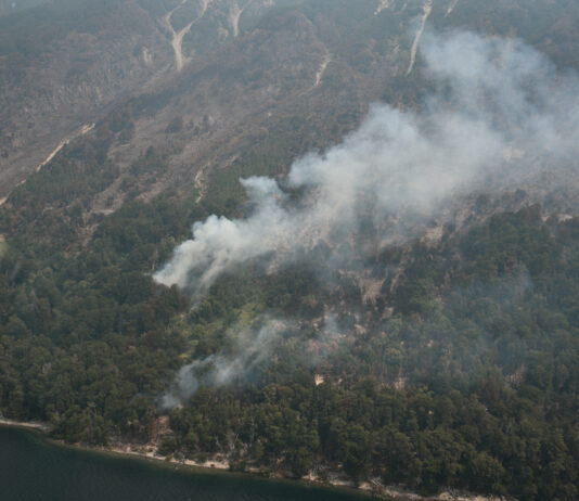 Panorama complejo para las próximas 48 horas: nuevos focos ígneos en la región y reorganización de recursos