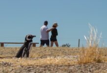 Más de 17.500 personas disfrutaron de las Áreas Protegidas durante el primer fin de semana del año