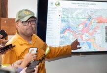 Combatir el fuego en Los Alerces: el desafío del terreno, el agua y las zonas críticas