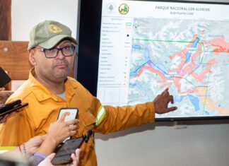 Combatir el fuego en Los Alerces: el desafío del terreno, el agua y las zonas críticas