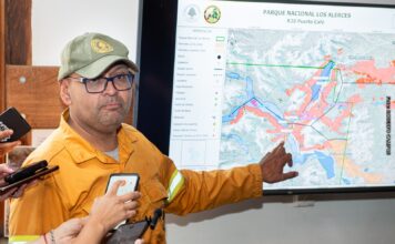 Combatir el fuego en Los Alerces: el desafío del terreno, el agua y las zonas críticas