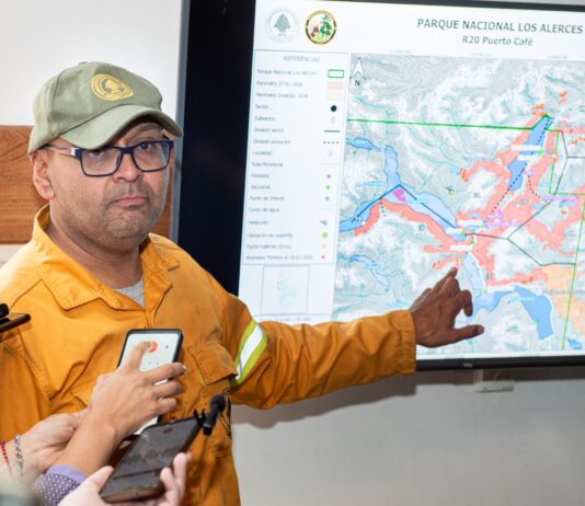 Combatir el fuego en Los Alerces: el desafío del terreno, el agua y las zonas críticas