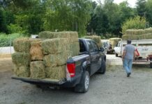 Asisten a productores afectados por los incendios en la región cordillerana