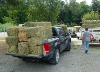 Asisten a productores afectados por los incendios en la región cordillerana
