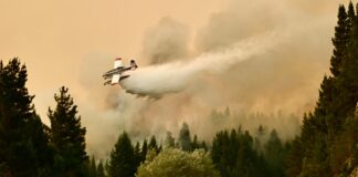 Dos aviones de Chile se suman al combate del incendio en Puerto Patriada