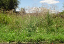 Siguen las inspecciones en terrenos baldíos en el marco de la emergencia ígnea e hídrica