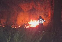 Bomberos voluntarios de Trevelin colaboraron en el combate del incendio en Puerto Patriada