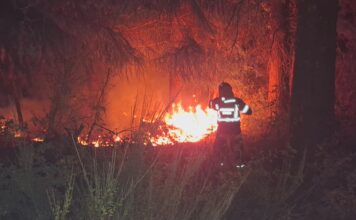 Bomberos voluntarios de Trevelin colaboraron en el combate del incendio en Puerto Patriada