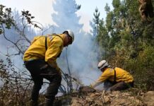 Brigadistas lograron contener el incendio en Puerto Patriada