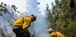 Brigadistas lograron contener el incendio en Puerto Patriada
