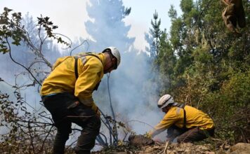 Brigadistas lograron contener el incendio en Puerto Patriada