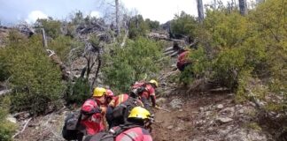 Brigadistas provinciales exigen la apertura de paritarias y piden ingresos al servicio