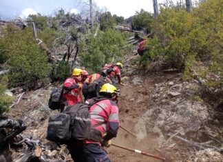 Brigadistas provinciales exigen la apertura de paritarias y piden ingresos al servicio