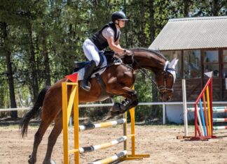 Trevelin será sede de la primera Clínica de Salto Hípico