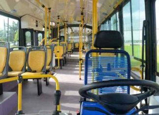Habilitan la renovación del beneficio de gratuidad por discapacidad en el transporte