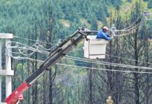 Restablecieron el servicio eléctrico en Epuyén y Cholila