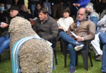 Por los incendios forestales, suspendieron la 100° Exposición Ovina de la Rural