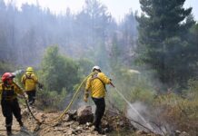 Más de 500 personas y 8 medios aéreos combaten el incendio forestal en Puerto Patriada
