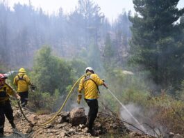 Más de 500 personas y 8 medios aéreos combaten el incendio forestal en Puerto Patriada