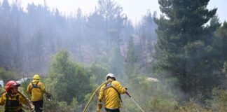 Más de 500 personas y 8 medios aéreos combaten el incendio forestal en Puerto Patriada
