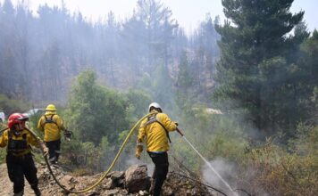Más de 500 personas y 8 medios aéreos combaten el incendio forestal en Puerto Patriada