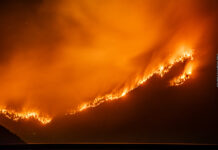 Llegaron refuerzos de distintos puntos del país para combatir el incendio en el Parque Los Alerces