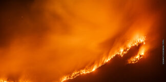 Llegaron refuerzos de distintos puntos del país para combatir el incendio en el Parque Los Alerces