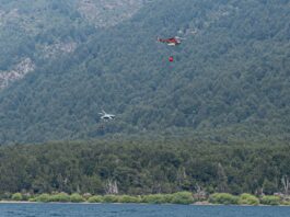 Parque Los Alerces: el incendio sigue activo y con múltiples focos