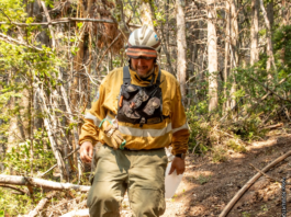 Continúa la movilización de brigadistas en los sectores activos del incendio en el Parque Los Alerces