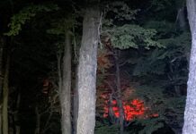 Incendio: el InBiEs realizó acciones preventivas en el área Huemules