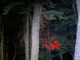 Incendio: el InBiEs realizó acciones preventivas en el área Huemules