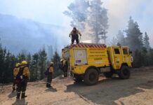 Fuego en Puerto Patriada: Con más de 230 personas y 6 medios aéreos, continúa el fuerte operativo para controlar el incendio