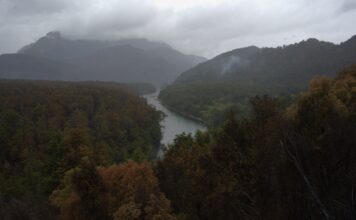 Parque Los Alerces: se intensifican los ataques en todos los frentes de fuego