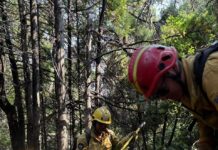 Incendios: se mantiene el operativo con un fuerte despliegue de brigadistas