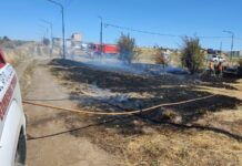 Controlaron rápidamente un nuevo incendio de pastizales en Trevelin