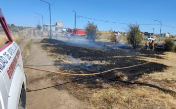 Controlaron rápidamente un nuevo incendio de pastizales en Trevelin