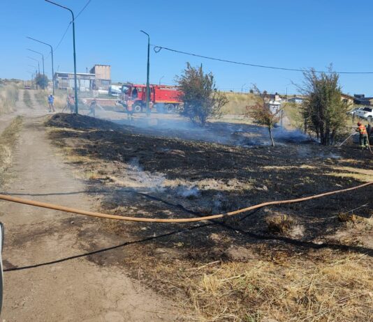 Controlaron rápidamente un nuevo incendio de pastizales en Trevelin