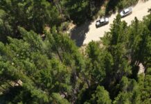 Ofrecen una recompoensa de 50 millones de pesos para quienes brinden información sobre el origen del incendio en Puerto Patriada