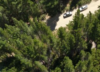 Ofrecen una recompensa de 50 millones de pesos para quienes brinden información sobre el origen del incendio en Puerto Patriada