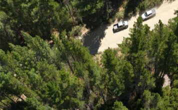 Ofrecen una recompensa de 50 millones de pesos para quienes brinden información sobre el origen del incendio en Puerto Patriada