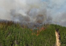 Fiscal dijo que el incendio en Puerto Patriada “se inició con un acelerante o nafta”